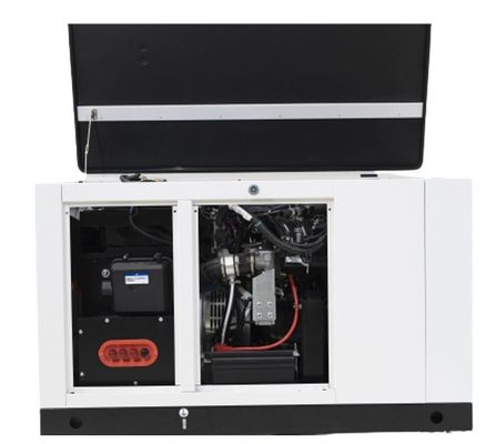 10kw15kw 天然ガス 1相プロパンブタン混合液化ガス発電機