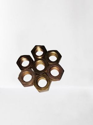 ブルース 鋳造 ステンレス スチール ヘックス ウェルド ナッツ 重用排気管用