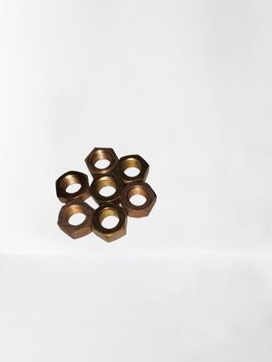 ブルース 鋳造 ステンレス スチール ヘックス ウェルド ナッツ 重用排気管用