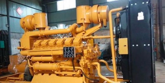 12V190 ジチャイガス発電機セット -G12V190zlt-2 DC出力タイプを持つOEMユニットにインストール