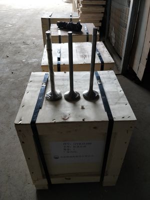 パーソナライゼーション 118KG W12V190.03.01 500kw 天然ガスの発電機の吸入バルブ シェン東