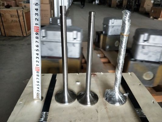 パーソナライゼーション 118KG W12V190.03.01 500kw 天然ガスの発電機の吸入バルブ シェン東