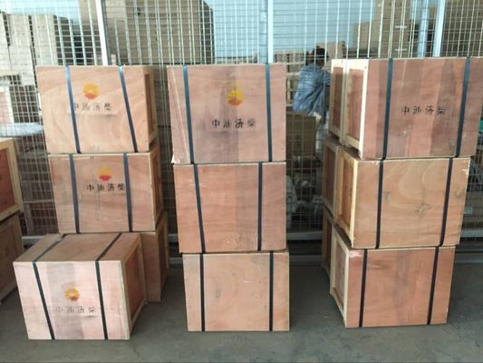 水媒パイロットピストン構造 ジナンディーゼルエンジン8190シリーズのための船舶エンジン部品