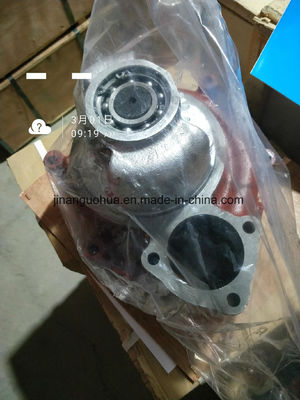 プッシュ 1000 水ポンプ 集装 Jichai 190 と Shengdong 190 エンジン部品 安価