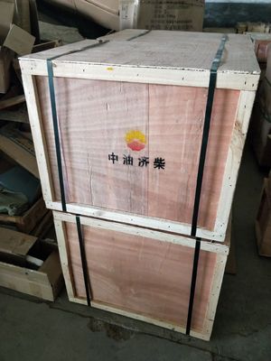 Z12V190bc10 ジナンディーゼルエンジンパーツ あなたのニーズに合わせた