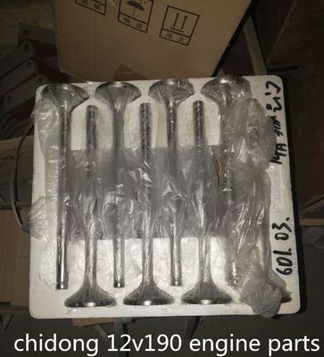 B6190zlc-1 砂をポンプする船 エンジン部品 100kgの性能のための標準部品