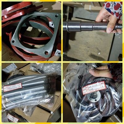 マレーシア市場向けチドンH12V190ディーゼルエンジンのモニター組成