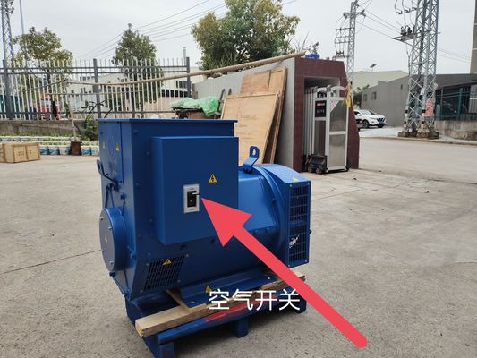 AC回転エキサイター 50kw Yuchaiガス発電機 家用用およびあなたの選択の色