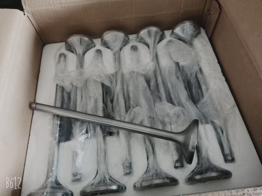 超充電式ディーゼルマリンエンジン4 ラインジチャイ・チドング 济南 海洋4190zlc-2