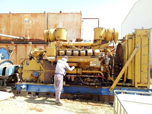 動物廃棄物エネルギー変換装置のためのDC出力500kwのバイオガス発電機