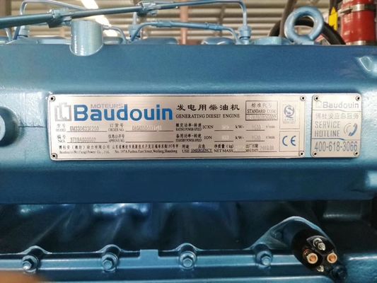 天然ガスのためのより適格なディーゼル発電機セット ベイチャイ・ボウドウイン DC出力タイプ